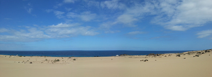 Canary, Sea, loma