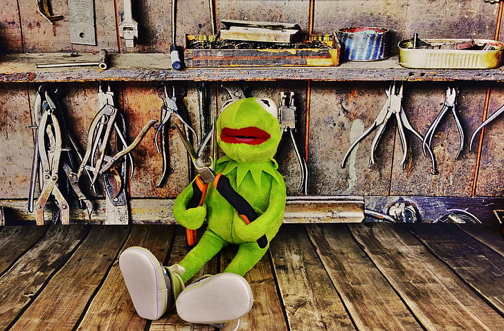 Kermit, officina, pinze, rana, lavoro divertente, infanzia, al chiuso