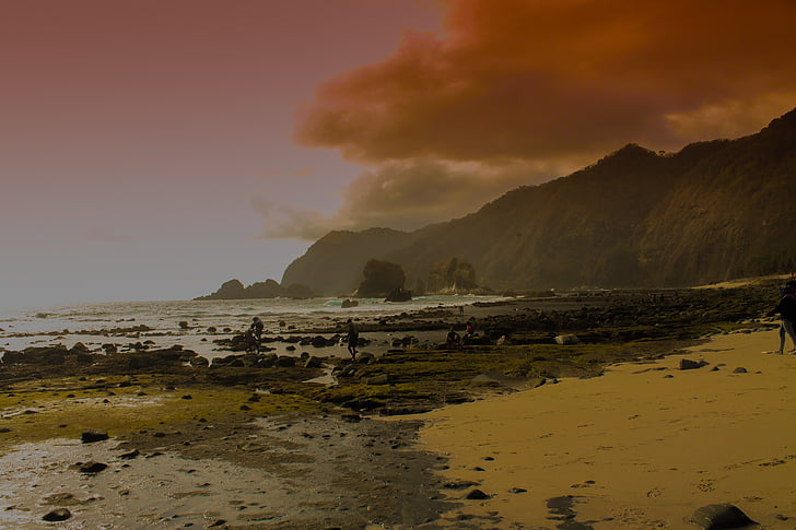 praia, amanhecer, Crepúsculo, nebuloso, paisagem, natureza, oceano