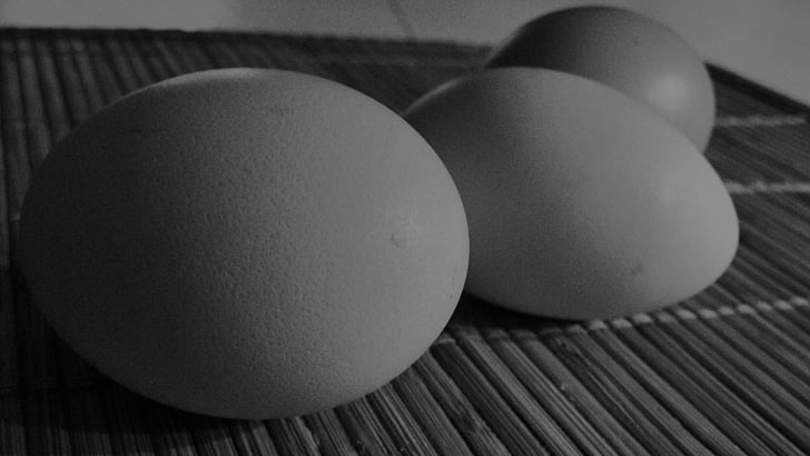 munad, must ja valge, kanad, toidu, loomade muna, lihavõtted, toores toit
