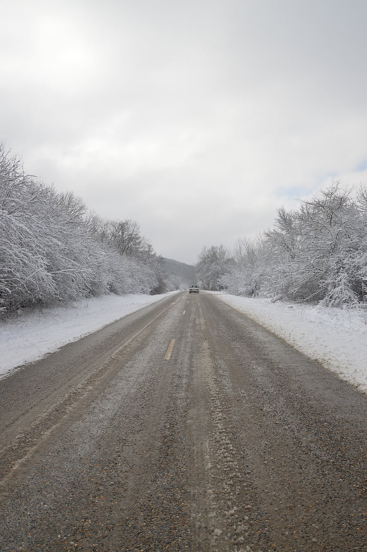 Winter-Straße, Straße, Winter, Bäume, Winterlandschaft, Frost