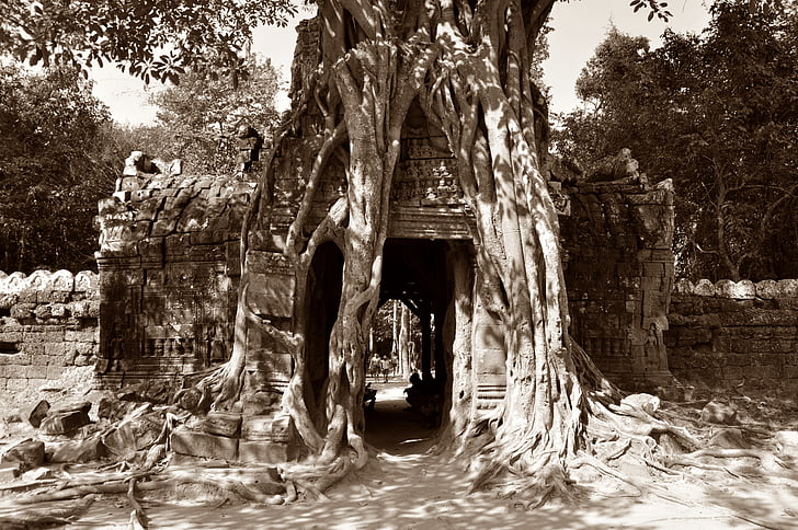 Angkor wat, hindulaisuus, kasvot, temppeli monimutkainen, historia, veistos, historiallisesti