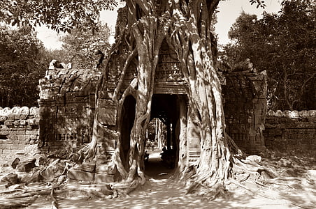 Angkor wat, Hinduísmo, rostos, complexo de templos, história, escultura, Historicamente