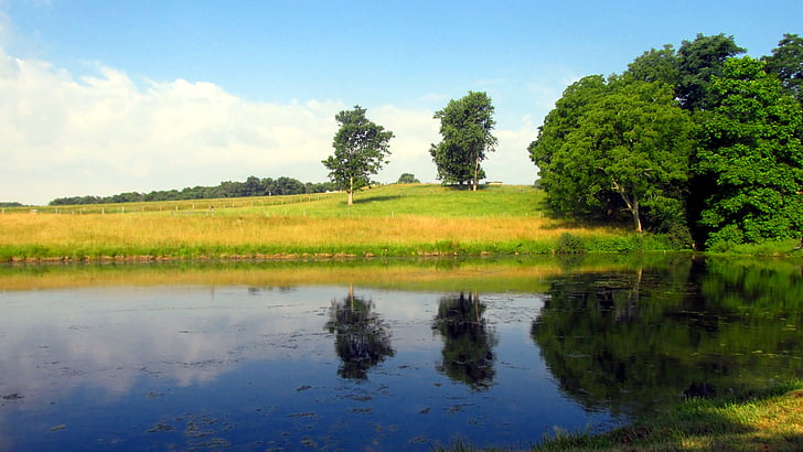 granja, Estany, l'estiu, cel, l'aigua, arbre, herba