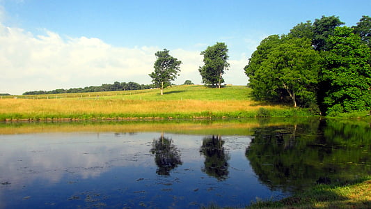 ферма, езерото, лято, небе, вода, дърво, трева