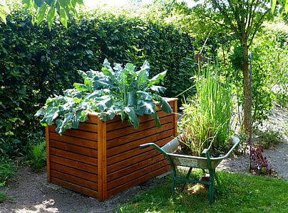 giardino, letto rialzato, Kohl, giardinaggio, verdure, coltivare le verdure, crudo