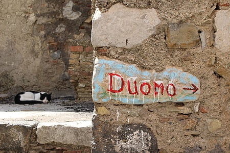 Castelmola, Sicile, Italie, Dôme, ville d’Italie, sieste de chat, feu indicateur de direction