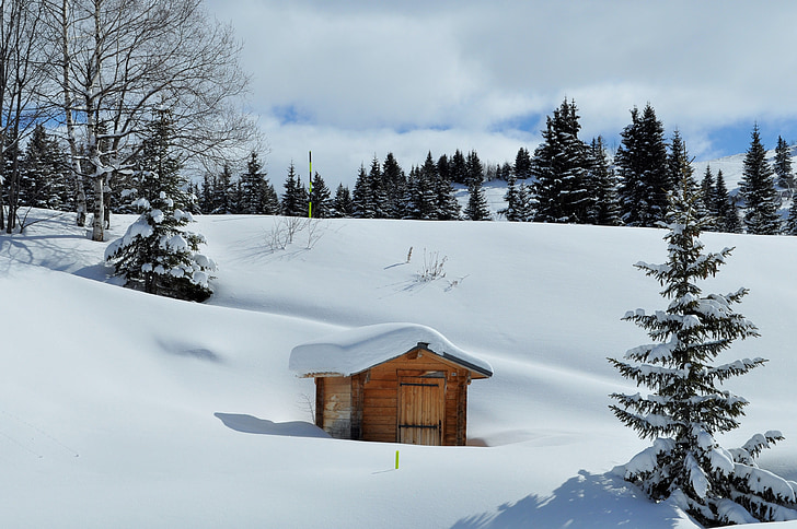 snijeg, Alpe, Haute-savoie, zimski krajolik, planine, spremište, Zima