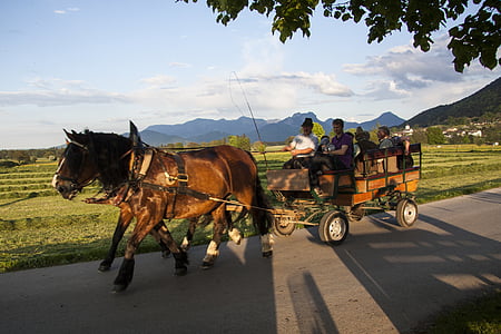 horses, horse drawn carriage, more, spring, sunshine, may, mountains