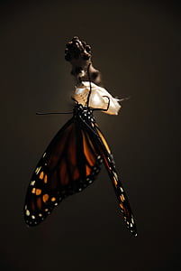 metulj, monarh, metulj monarh, insektov, narave, krila, oranžna
