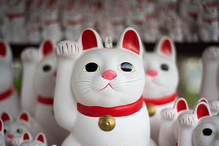 kedi, heykelcik, Japonya, görüntü, koleksiyonları