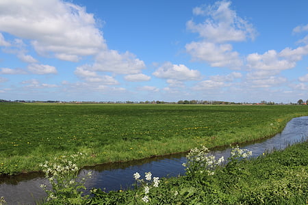 canal, Holland, Pays-Bas, Meadow, large, Sky, eau