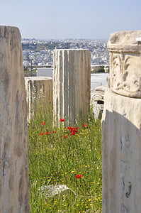 Atene, papavero, colonne, oggetto d'antiquariato, Vacanze, Tempio, luoghi d'interesse