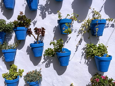 pots, blue, wall, pattern, flower, sun, andalusia