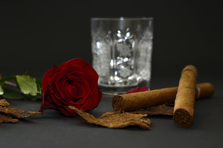 rose, red rose, cigar, tobacco leaves, crystal glass, whiskey glass, blossom