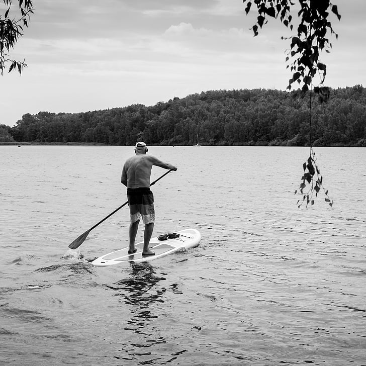 old man, lake, paddle, surf, water, nature, remained young