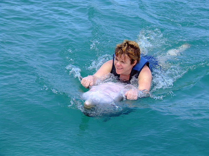 delfinek, úszás, tenger, víz, Marine, élet, állat