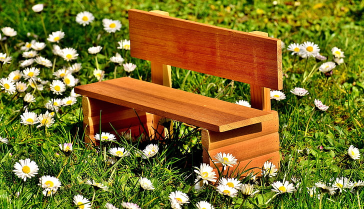 bench, meadow, grass, bank, nature, rest, sit