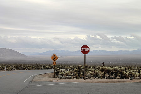 é.-u., Joshua, Arizona, désert, nature, Californie, paysage