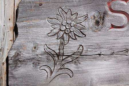 Edelweiss, izklesan, graviranje, lesa, koča