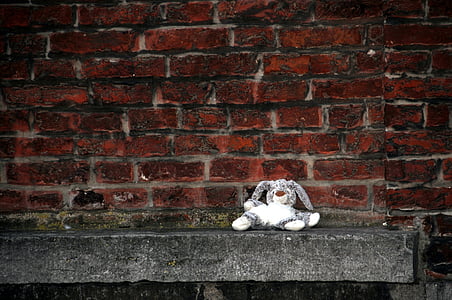 teddy bear, wall, toy, rabbit, only, chair, solitaire