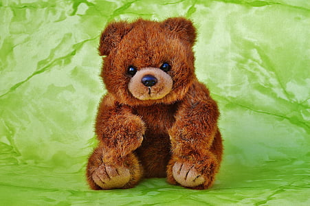 мечка, Теди, меки играчки, Макети на животни, кафява мечка, деца, животните