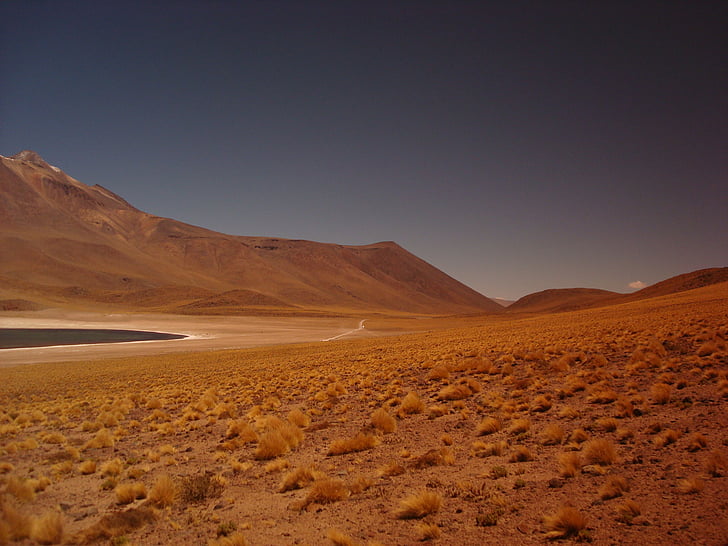 Chile, öken, isolerade, landskap, bergen, naturen, Oasis