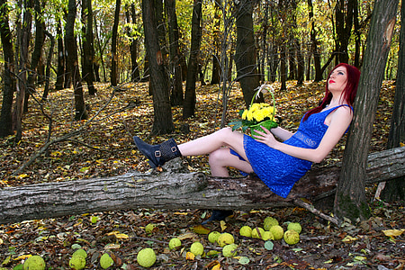女孩, 秋天, 森林, 红头发, 美, 植被