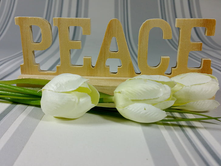 hope, peace, decoration, flowers, wood, background