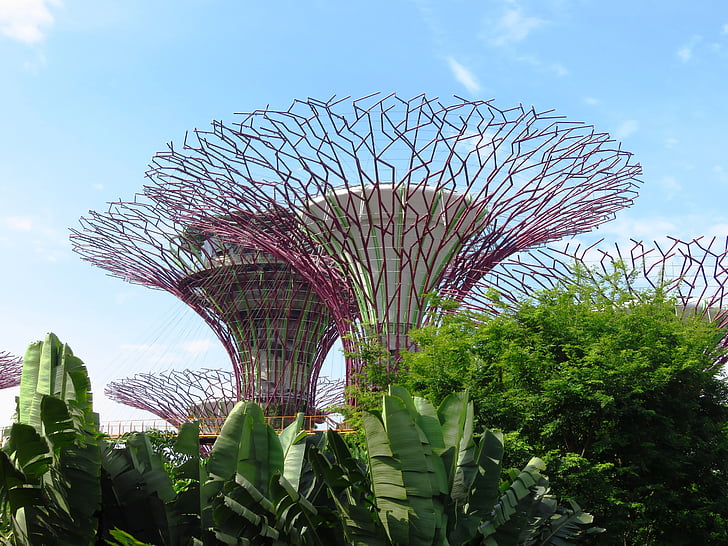 Singapur, ogród nad zatoką, Marina, Turystyka, ogród, Azja