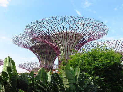 Singapour, jardin de la baie, Marina, Tourisme, jardin, l’Asie
