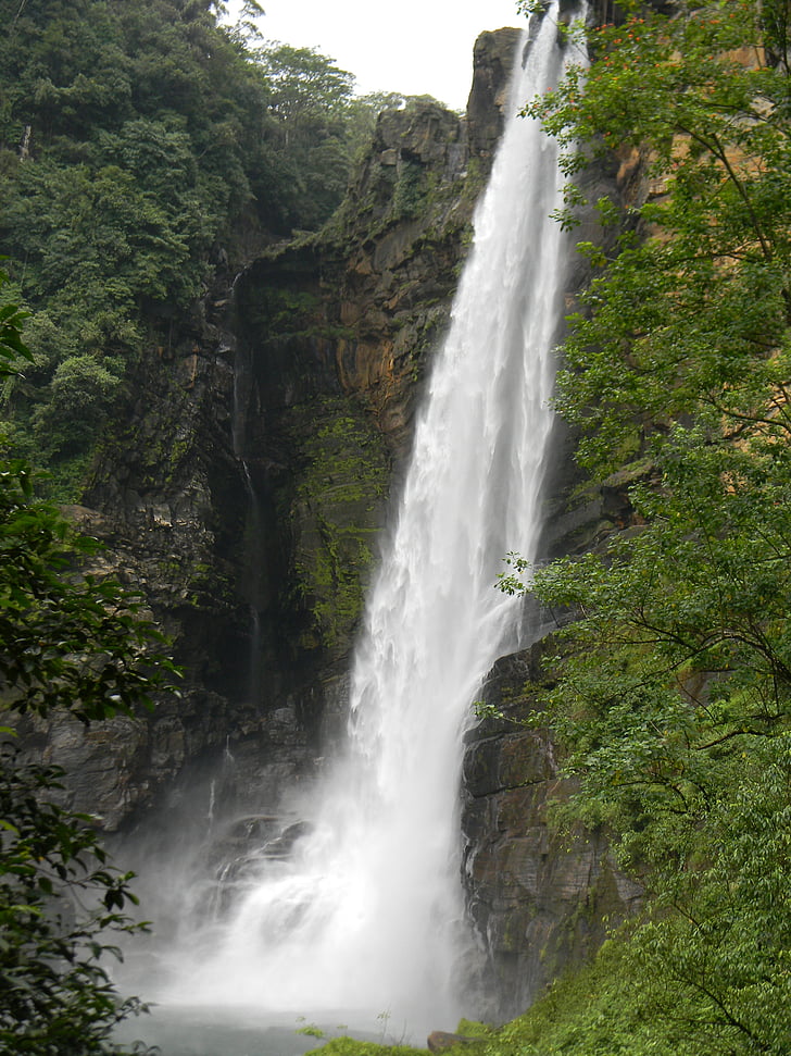 スリランカ, 滝, laxapana, 自然, 熱帯, 旅行, 観光