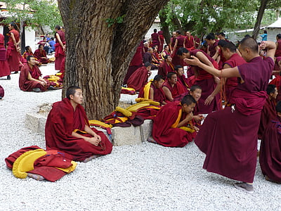 Tibeta, sera klostera, jhasa, Gelugpa, debašu sesija, serums, Budisms