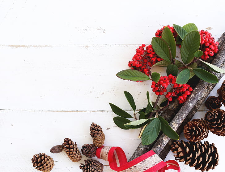 legno bianco, reception, inverno, Natale, flatlay, cono del pino, rustico