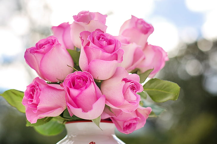 sārtas rozes, rozes, ziedi, romantika, romantisks, mīlu, Valentīna