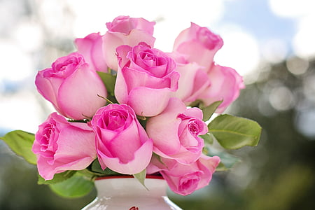 vaaleanpunaisia ruusuja, ruusut, kukat, Romance, romanttinen, Rakkaus, Valentine