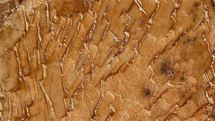 Pierre, grès, mur, texture, érosion, figuratico