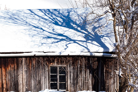 Cabana, sostre, fusta, arbre, neu, ombra, l'hivern