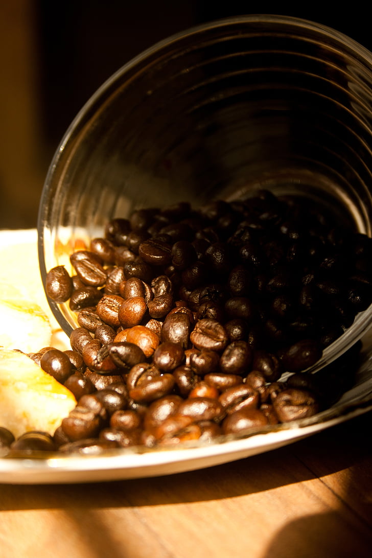 kava, kavna zrna, pražena, aromo, rjava, kofein, espresso
