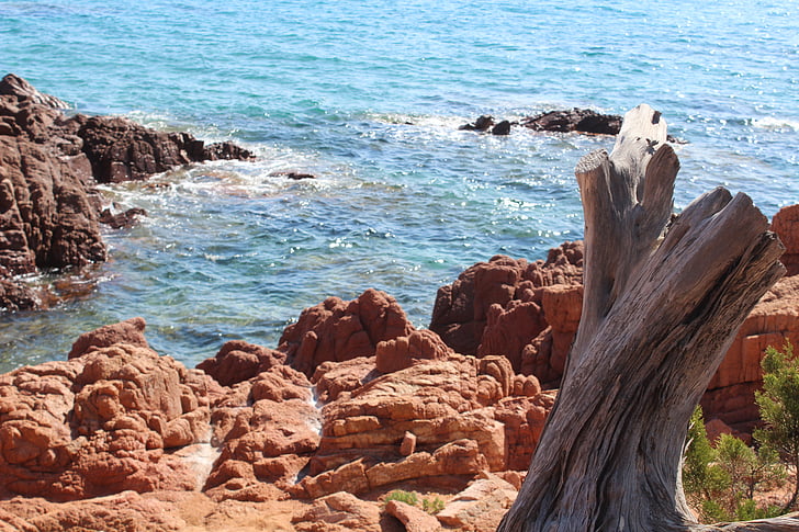 Sardinië, zee, rood, rotsen, Juniper, water, zomer