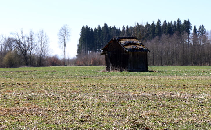 hut, barn, field, meadow, nature