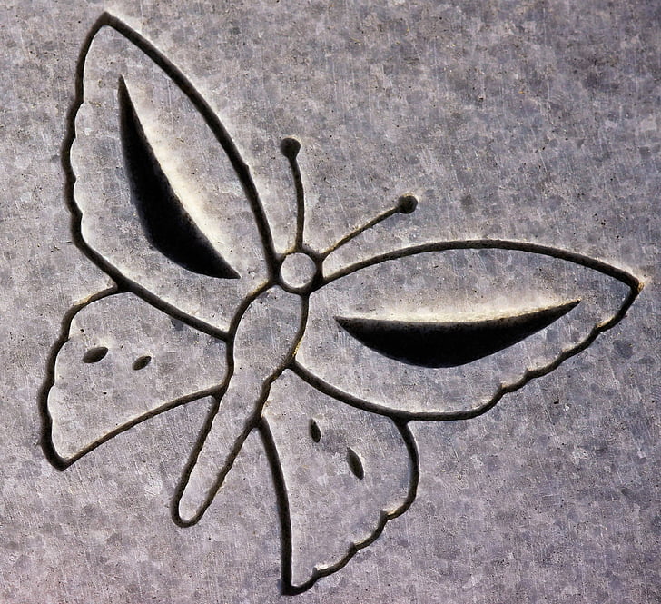 talla, mariposa, animal, lápida mortuoria, símbolo, detalle, granito