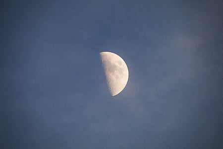 the sky, in the evening, month, half, moon, moonlight, sky