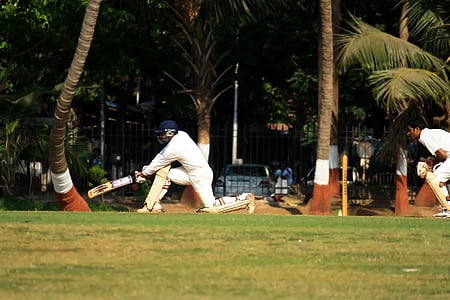 wicketkeeper, kriket, lööja, Ball mäng, India, konkurentsi, mängija