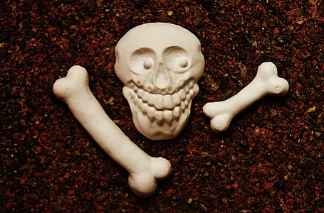 Skull and crossbones, kauls, ģipšakmens, tukšs, nekrāsota, balta, cast