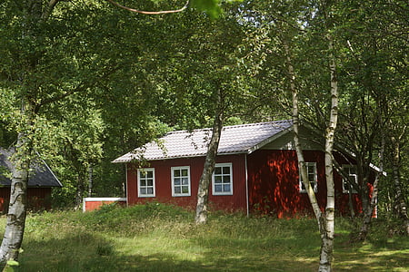 Ansager, Danimarca, Lago di giovenca, Cottage, alberi di betulla, capanna, Casa