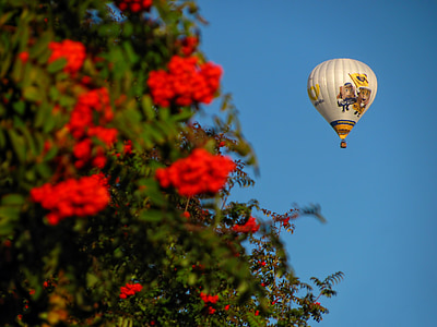 ballon, hete lucht, vliegen, float, leuk, recreatie, vliegen