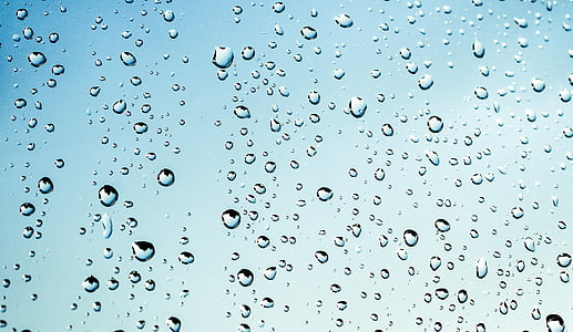 close-up, dew, droplets, macro, raindrops, water, waterdrops