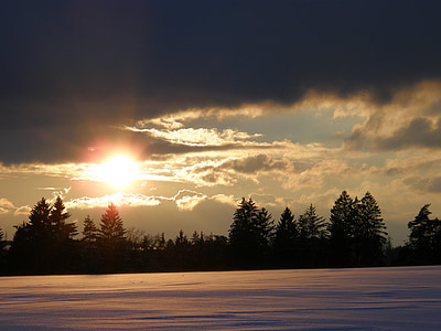 zimsko sunce, zalazak sunca, studen, stabla, snijeg, abendstimmung, zimska čarolija
