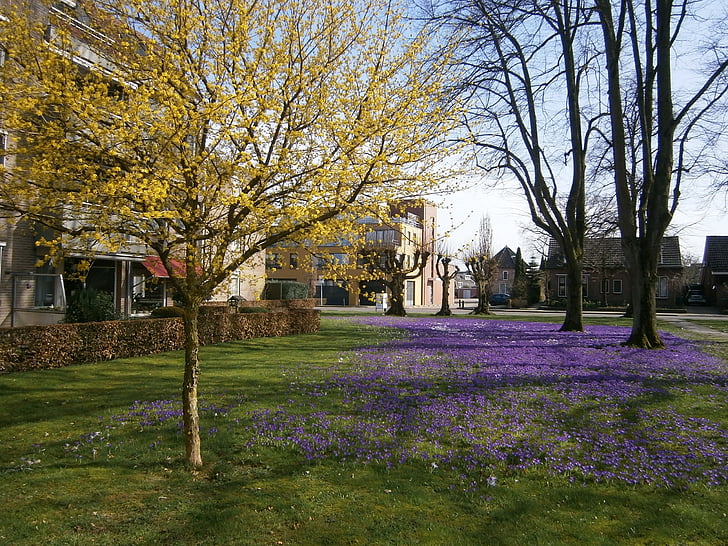 Nijverdal, jaro, mlýn